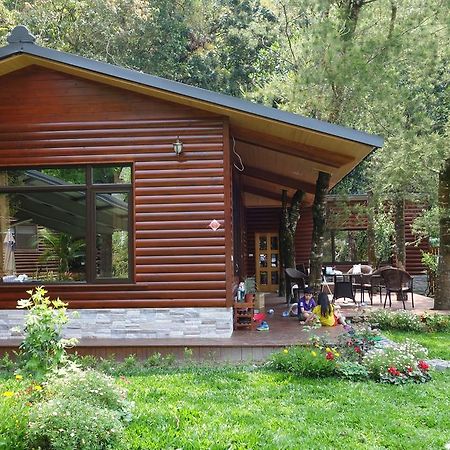 ผูลี่ สตาร์ การ์เด้น บีแอนด์บี Bed & Breakfast ผูหลี่ ห้อง รูปภาพ